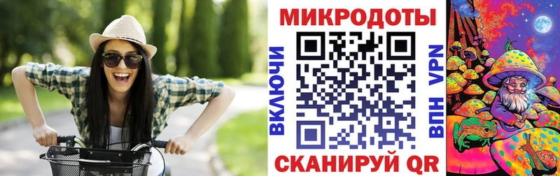 Купить где  Кологрив  Галлюциногенные грибы GOLDEN TEACHER 